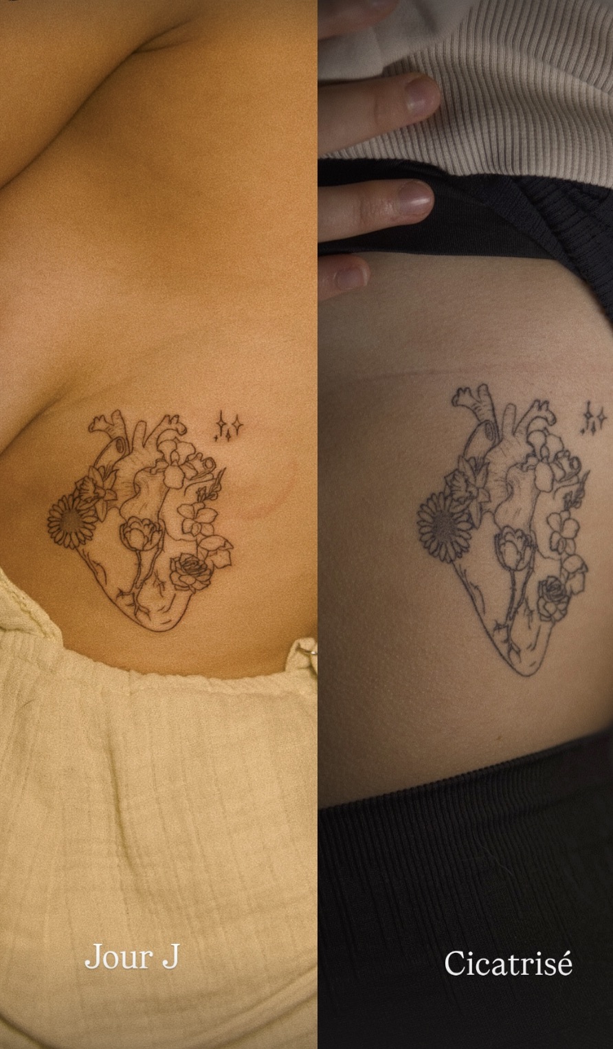 Tatouage fine line, cœur en ligne, avant et après cicatrisation, Couleur Gris Bordeaux